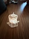 sub