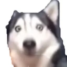 bowfar