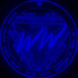 WildWide