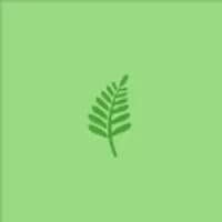 Taxus