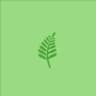 Taxus