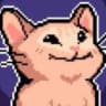 notoriouspopcat