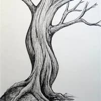 forsakentreeplant