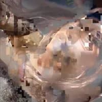 xosmane