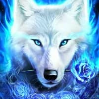 BlueFireWolf