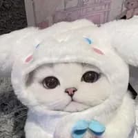 090