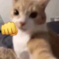 fadedd