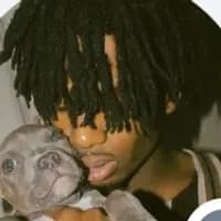 Ynmoney