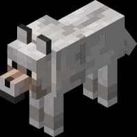 user2364
