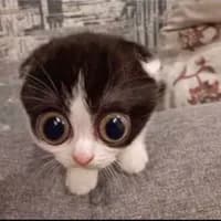 Paddling3581
