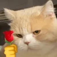 Gendu