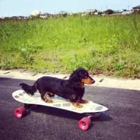 speedyud