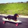 speedyud