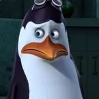 penguin18756