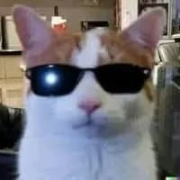 Scathz