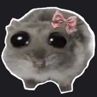 135205