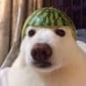 SupGuys