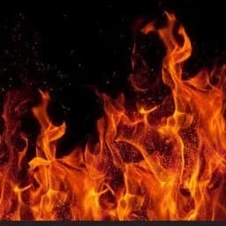 Fired