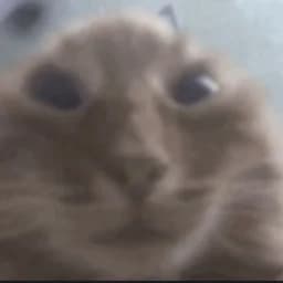 Mstu
