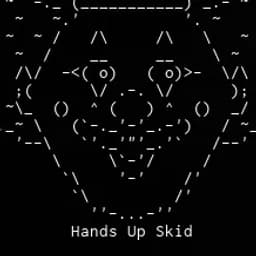 skidcoder