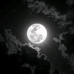 MoonHubcook