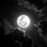 MoonHubcook