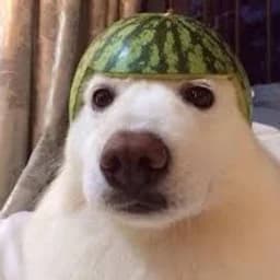 Zeru_