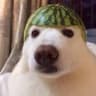 Zeru_