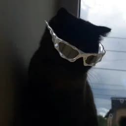 clarkkvnt