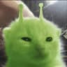 ImNotCat