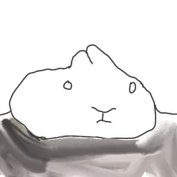 Catmanor