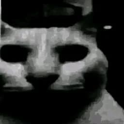 Darkluax