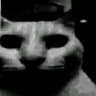 Darkluax