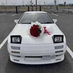 Car_breeder