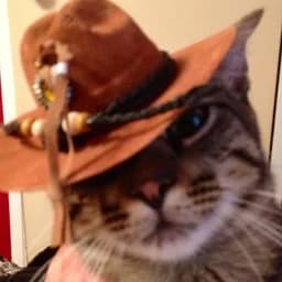 WaylonCowboy