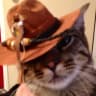 WaylonCowboy