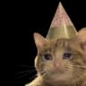 CatX