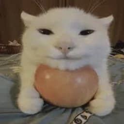 ___