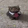 Immorty