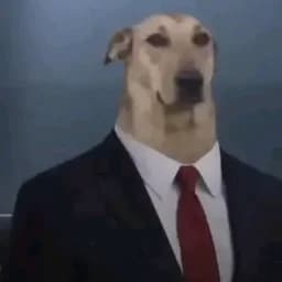XAn26