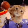 bonkerscat42