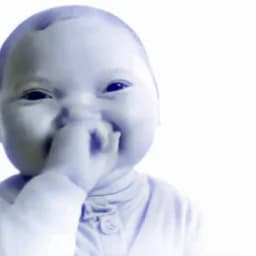 Laughing_goodsirs