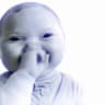Laughing_goodsirs