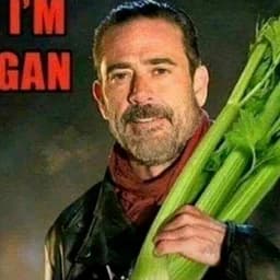 elysnn