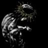 DARK8