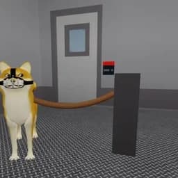 Bruhimadoge