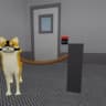 Bruhimadoge