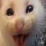 Miang