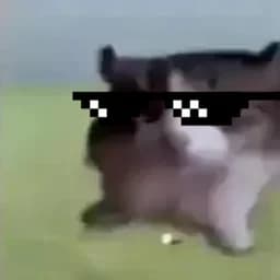 itsLaurinYT