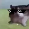 itsLaurinYT